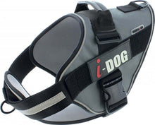 Charger l'image dans la galerie, Harnais Neocity I-DOG