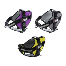 Charger l'image dans la galerie, Harnais Neocity I-DOG